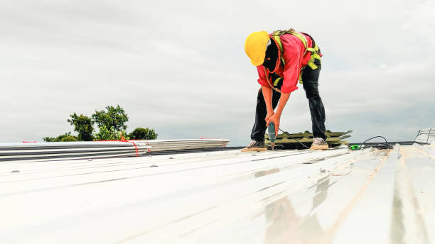 Best Metal Roofing Installation  in Waikapu, HI